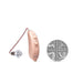 HD 295 RIC Digital Hearing Aid-HearingDirect-